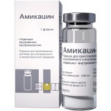 Купить амикацин, порошок для приготовления раствора для внутривенного и внутримышечного введения 1г, флакон в Бору