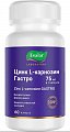 Купить цинк l-карнозин гастро, капсулы 60 шт бад в Бору