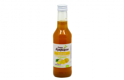 Купить сироп имбирный на фруктозе с лимоном доктор нутришин, флакон 250мл бад в Бору