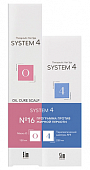 Купить система 4 (system 4) программа против жирной перхоти: шампунь терапевтический 4, 250мл + маска отшелушивающая о, 150мл в Бору