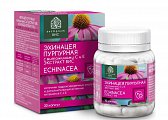 Купить эхинацея пурпурная с витаминами с и е экстракт вис, капсулы массой 350мг, 30 шт бад в Бору