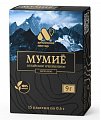 Купить мумие алтайский нектар, пластины массой 6г, 15 шт бад в Бору