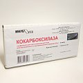 Купить кокарбоксилаза, лиофилизат для приготовления раствора для внутримышечного введения 50мг, ампулы 2мл, 5 шт в Бору