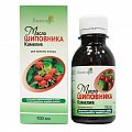 Купить шиповника масляный экстракт для приема внутрь, флакон, 100мл бад в Бору