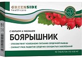 Купить green side (грин сайд) боярышник с калием и магнием, таблетки  40 шт. бад в Бору