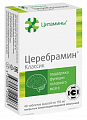 Купить цитамины церебрамин классик, таблетки покрытые кишечнорастворимой оболочкой массой 155мг, 40 шт бад в Бору