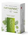 Купить лигнариус плюс, капсулы 240мг 30 шт бад в Бору