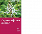 Купить ортосифона листья (почечный чай), фильтр-пакет 1,5г, 20 шт бад в Бору