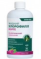 Купить snow sea хлорофилл форте жидкий со вкусом малины и мяты, 450 мл бад в Бору