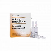 Купить солидаго композитум с, раствор для внутримышечного введения гомеопатический 2,2мл, ампулы 5шт в Бору