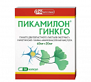 Купить пикамилон гинкго, капсулы 40мг+20мг, 50 шт в Бору